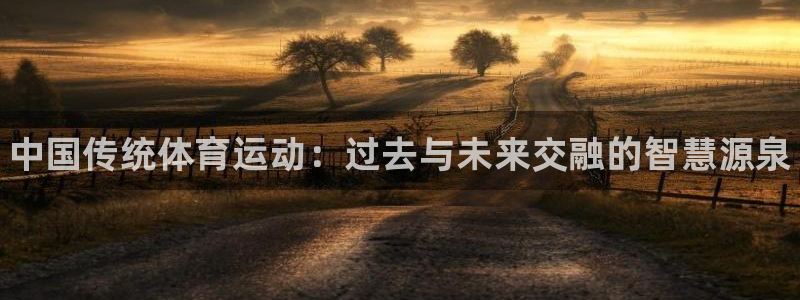 米兰体育官网下载招商电话号码：中国传统体育运动：过去
