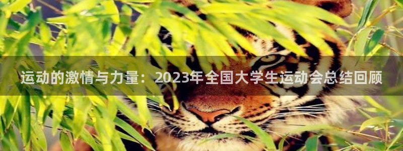 米兰体育官网下载平台注册流程图：运动的激情与力量：2