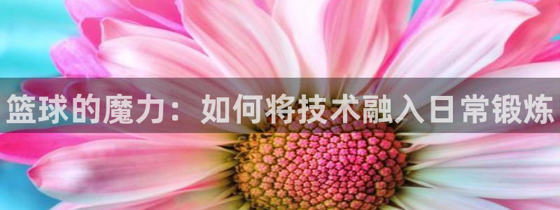 注册米兰体育官方正版app：篮球的魔力：如何将技术融