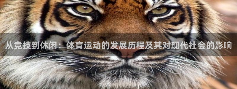 米兰体育官网下载是干嘛的公司：从竞技到休闲：体育运动的发展历