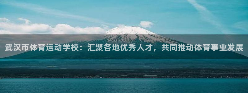 米兰体育官网下载平台APP
