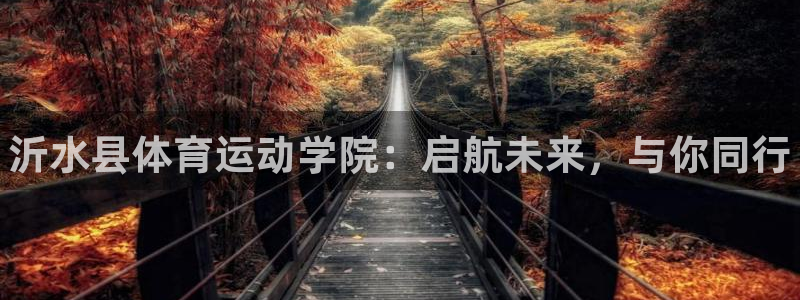 米兰体育官方正版app开户：沂水县体育运动学院：启航未来，与