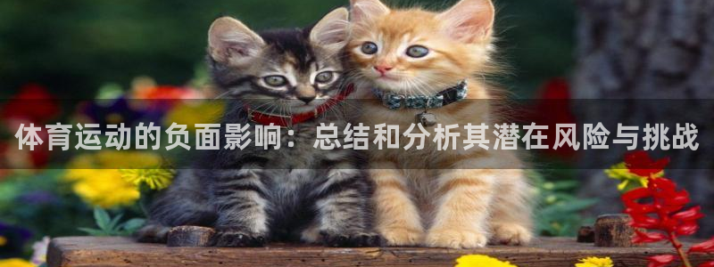 德国米兰体育官方正版app集团