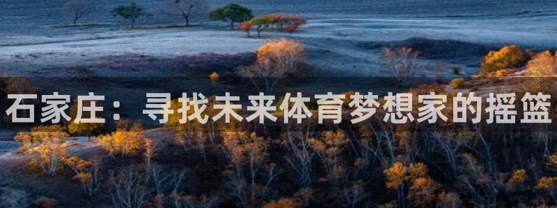 米兰体育官网下载招商电话地址查询：石家庄：寻找未来体