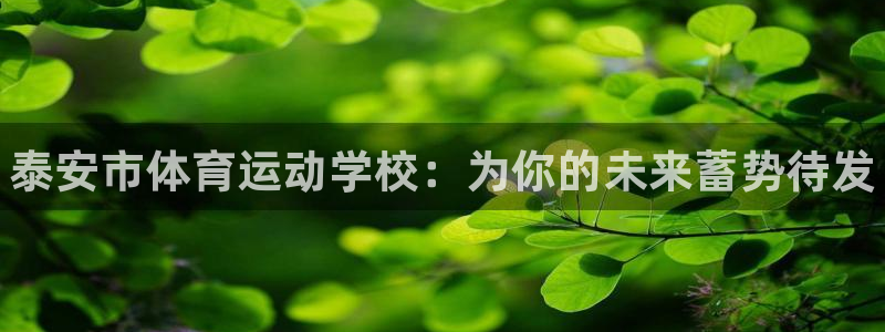 米兰体育官方正版app娱乐平台：泰安市体育运动学校：