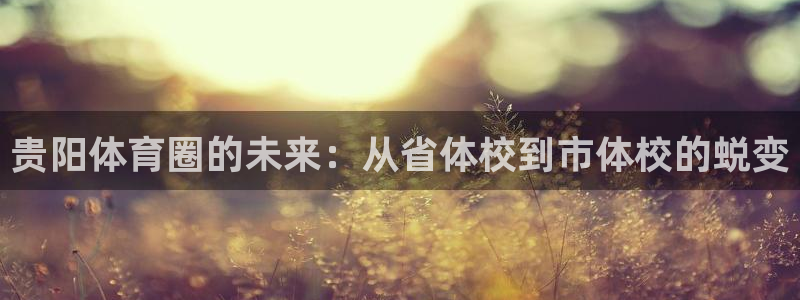 米兰体育官网下载是干嘛的公司：贵阳体育圈的未来：从省