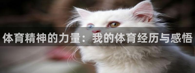米兰体育官网下载平台是正规平台吗知乎：体育精神的力量