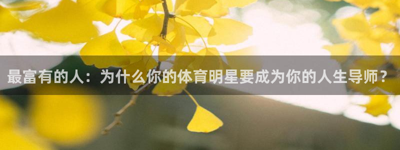 米兰体育官网下载招商电话地址查询：最富有的人：为什么