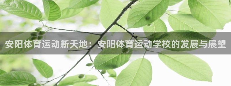 米兰体育官方正版app娱乐：安阳体育运动新天地：安阳体育运动