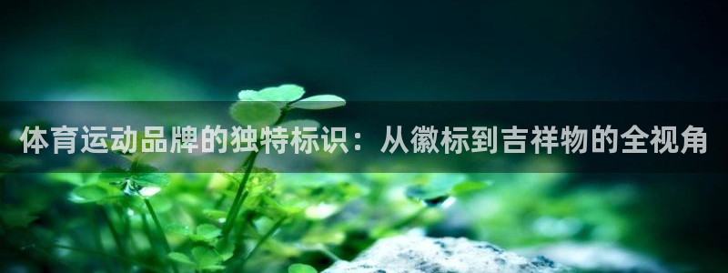 米兰体育官网下载平台假的吗是真的吗：体育运动品牌的独特标识：