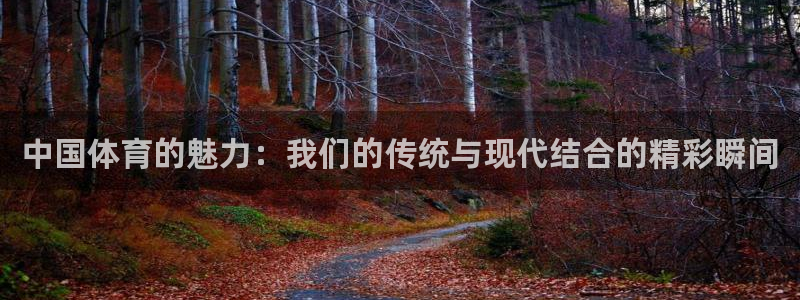 米兰体育官方正版app集团官网首页：中国体育的魅力：我们的传