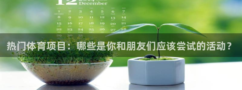 米兰体育网站斯特拉斯堡战略伙伴W