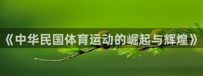米兰体育欧洲杯