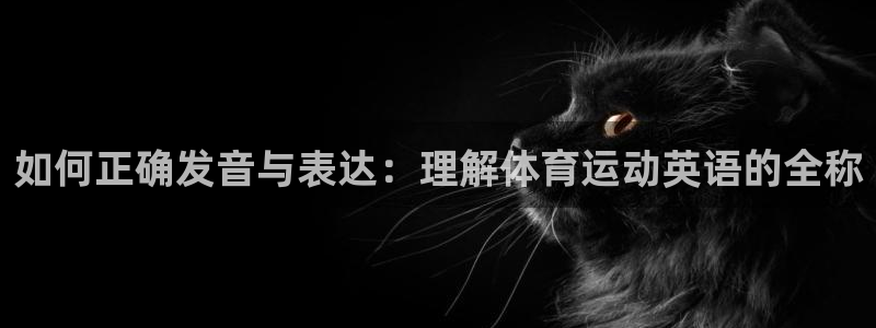 米兰体育哪年上市的股票
