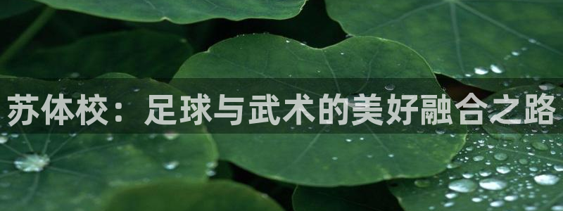 米兰体育app是外围嘛安全吗：苏体校：足球与武术的美好融合之