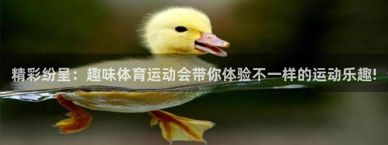 米兰体育的官网打开即玩.官网备用2.中国：精彩纷呈：趣味体育
