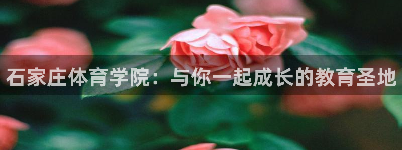 米兰体育黑平台是正规的吗知乎：石家庄体育学院：与你一起成长的