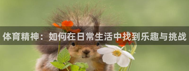 米兰体育软件怎么样：体育精神：如何在