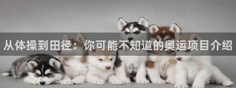 米兰体育与阿拉维斯达成合作关系：从体