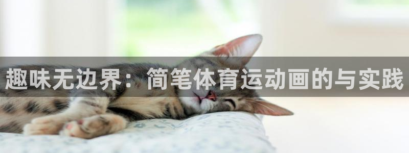  米兰体育报谈张康阳：趣味无边界：简笔体育运动画的与实践