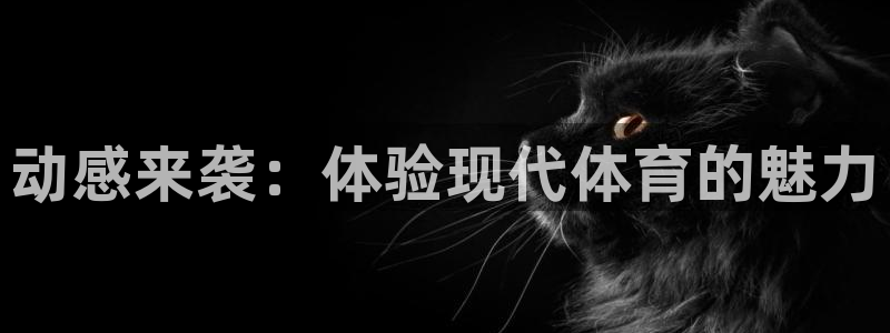 米兰体育娱乐·中国官方网：动感来袭：体验现代体育的魅力