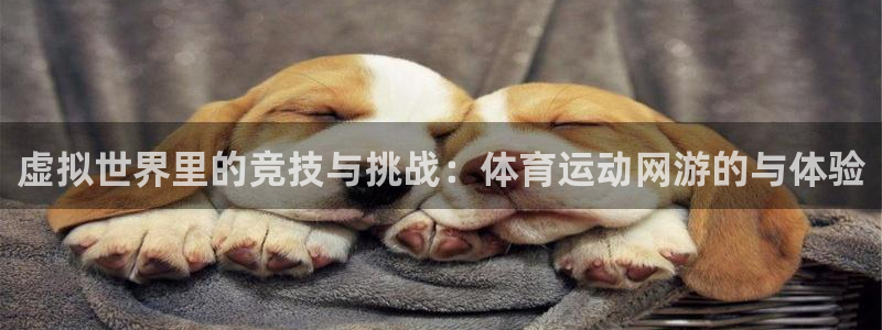 米兰体育ios下载官网：虚拟世界里的