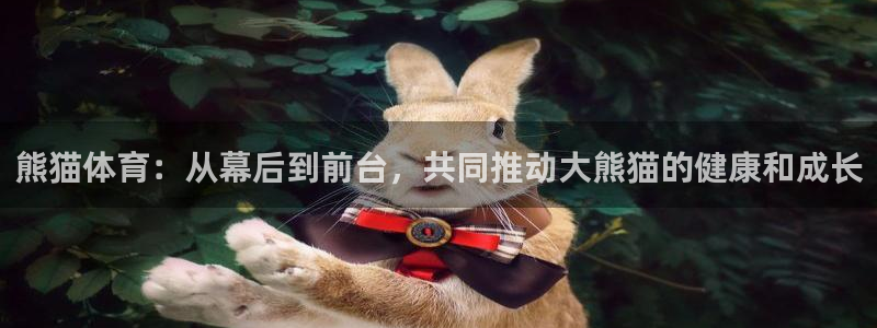  米兰体育直播：熊猫体育：从幕后到前台，共同推动大熊猫的健康和