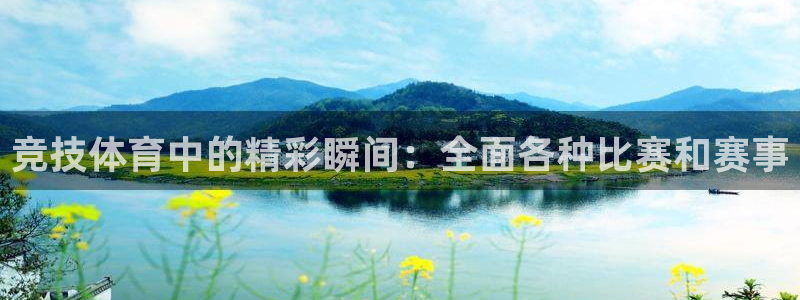 米兰体育官网斯特拉斯堡战略伙伴T：竞技体育中的精彩瞬间：全面