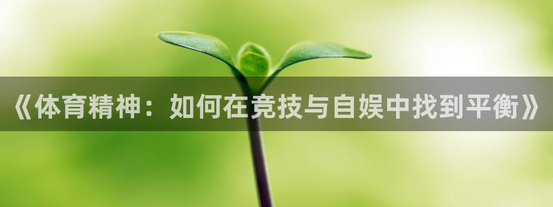 米兰体育哪年上市的：《体育精神：如何在竞技与自娱中找到平衡》